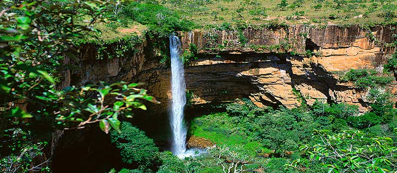 Urwaldausflüge im Amazonas Regenwald