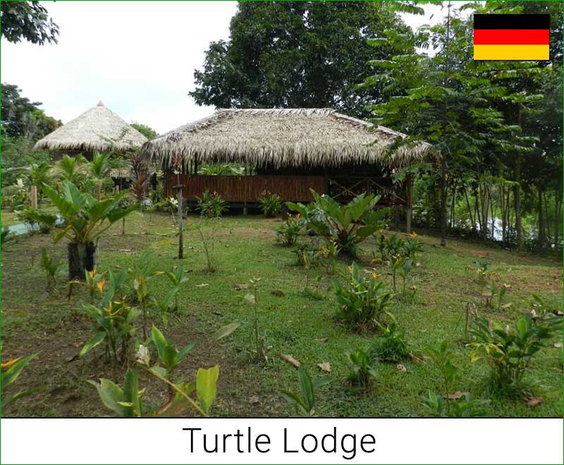 Turtle Lodge